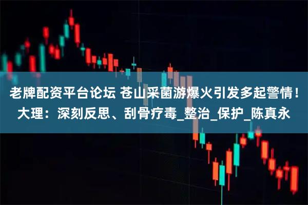 老牌配资平台论坛 苍山采菌游爆火引发多起警情！大理：深刻反思、刮骨疗毒_整治_保护_陈真永