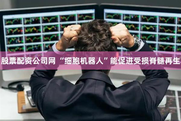 股票配资公司网 “细胞机器人”能促进受损脊髓再生